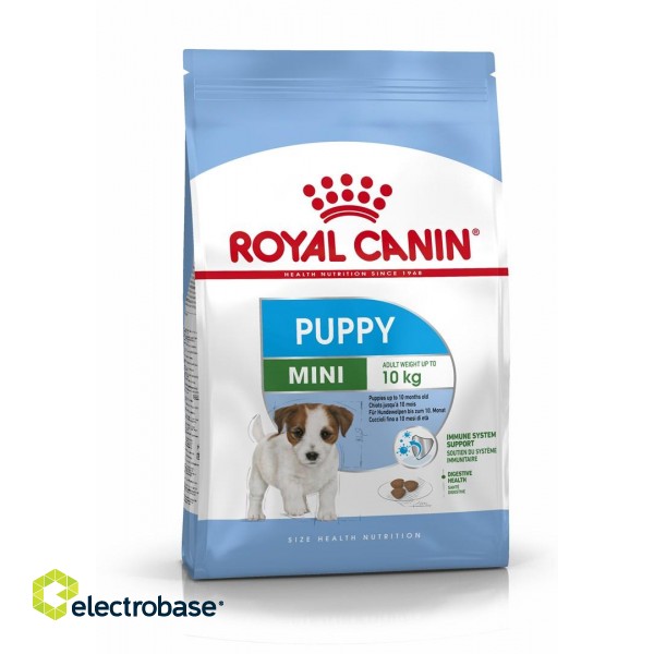 Royal Canin SHN Mini Puppy - dry puppy food - 4kg