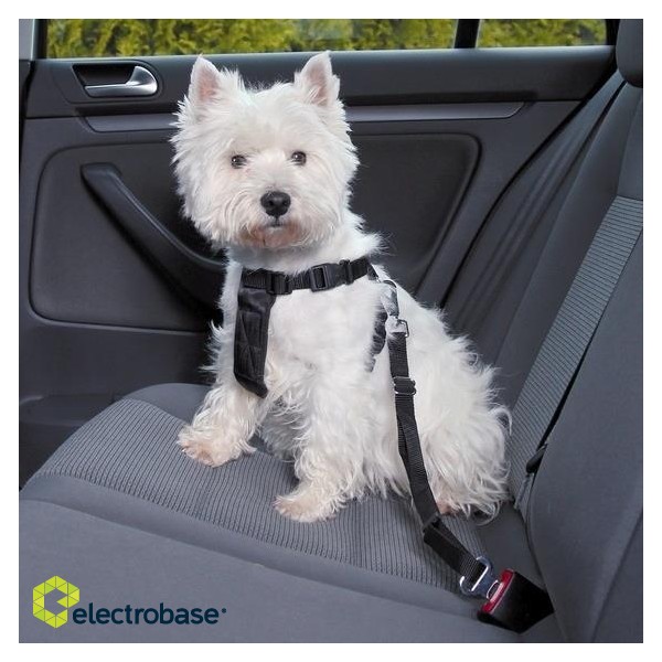 TRIXIE Car-safety dog harness S 1290 image 3