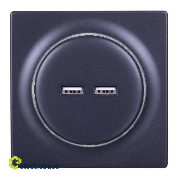 Fibaro FGWU-021-8 socket-outlet 2x USB Black paveikslėlis 1