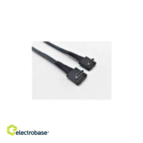 Intel AXXCBL620CRCR Serial Attached SCSI (SAS) cable 0.62 m Black