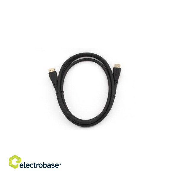 Gembird CC-DP2-10 DisplayPort cable 3 m Black paveikslėlis 2