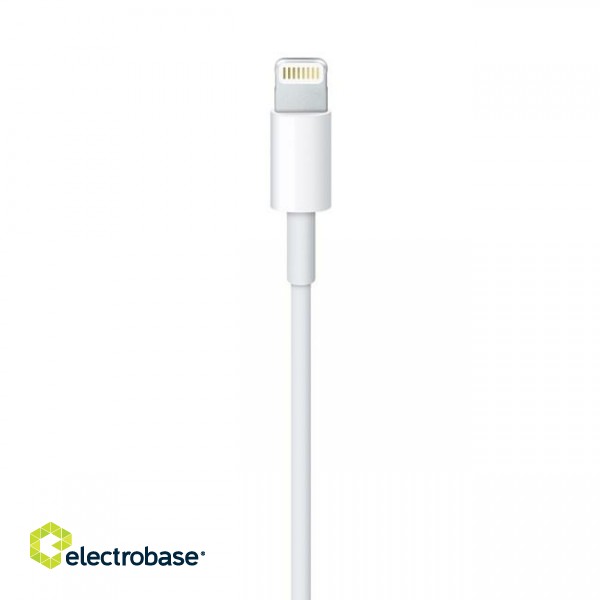 Apple Lightning to USB Cable (2 m) image 3