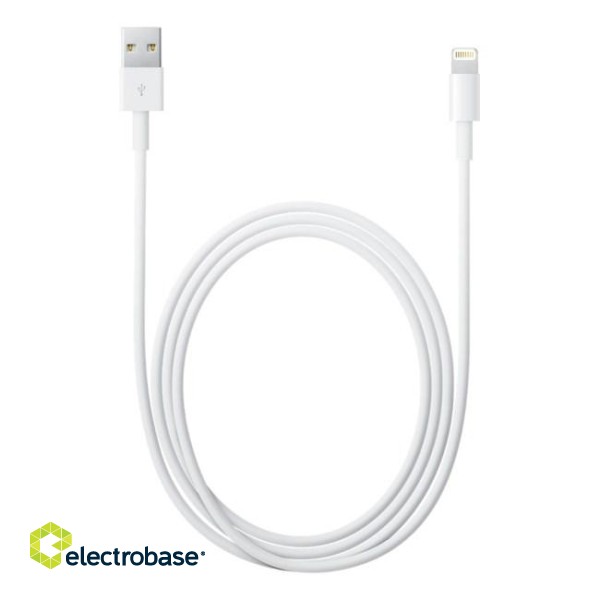 Apple Lightning to USB Cable (2 m) image 5
