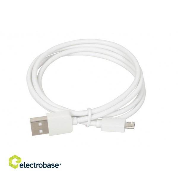 iBOX C-41 universal charger with micro USB cable, white фото 1