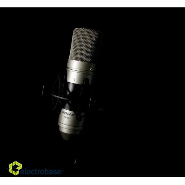 Tascam TM-80 microphone Gold Studio microphone image 5