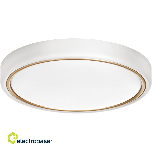 Modern LED ceiling plafond Activejet VERDI White/Gold 23W image 1