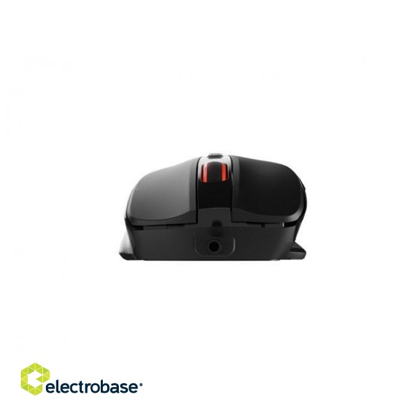 NATEC MOUSE PIGEON 2 4000DPI BLACK paveikslėlis 9