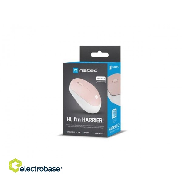 NATEC WIRELESS MOUSE HARRIER 2 1600DPI BT 5.1 paveikslėlis 3