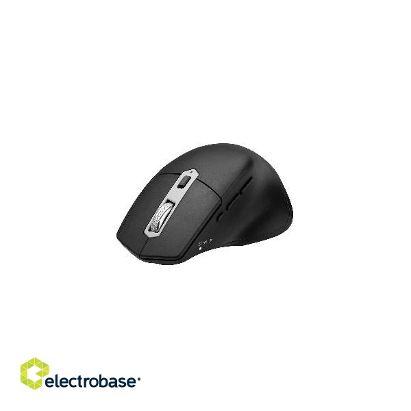 Tracer Ofis X mouse Office Right-hand RF Wireless Optical 2400 DPI