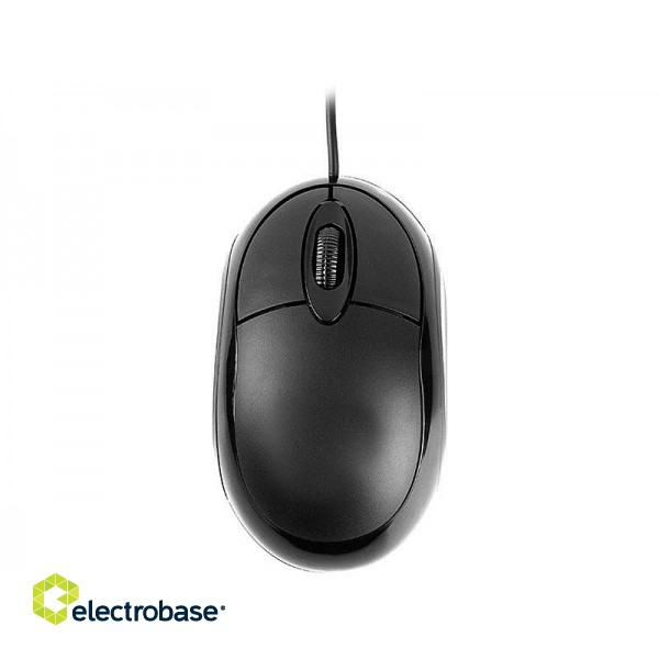 Tracer TRAMYS45906 mouse Right-hand USB Type-A Optical 800 DPI image 2