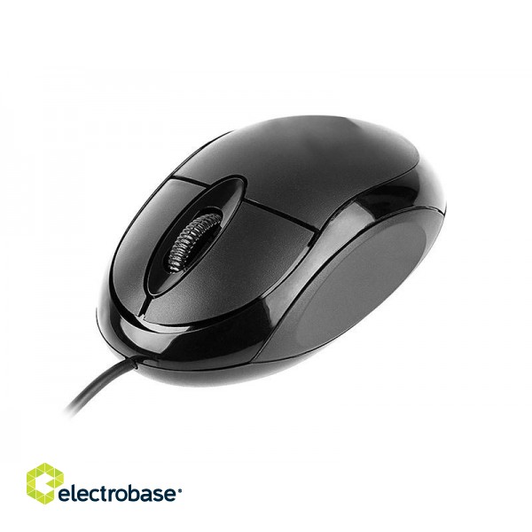 Tracer TRAMYS45906 mouse Right-hand USB Type-A Optical 800 DPI paveikslėlis 1