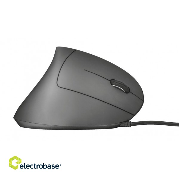 Trust Verto mouse Right-hand USB Type-A Optical 1600 DPI image 1