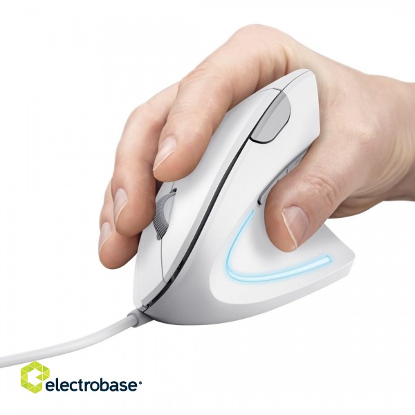 Trust Verto mouse Office Right-hand USB Type-A Optical 1600 DPI image 2