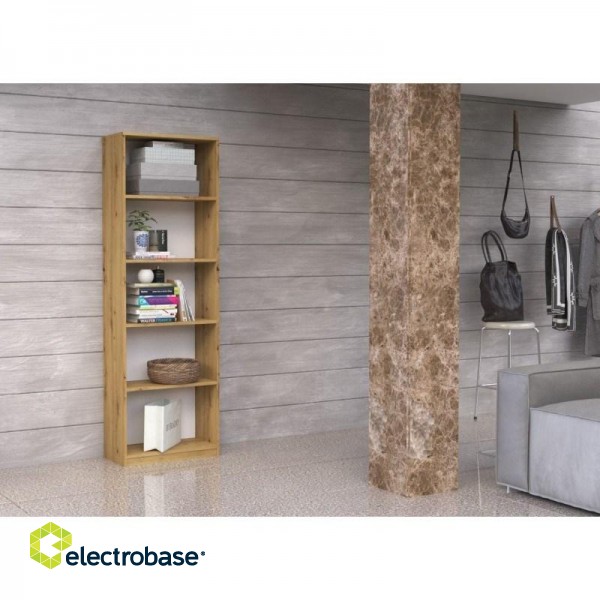 Topeshop R40 ARTISAN office bookcase фото 1