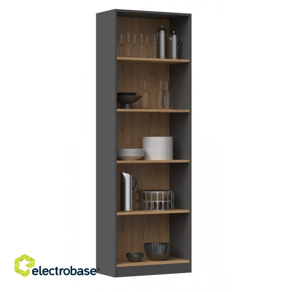 Topeshop R60 ANT/ART office bookcase фото 2