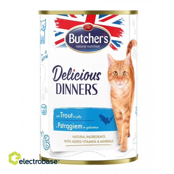 BUTCHER'S Delicious Dinners Pieces with trout in jelly - wet cat food - 400g фото 1