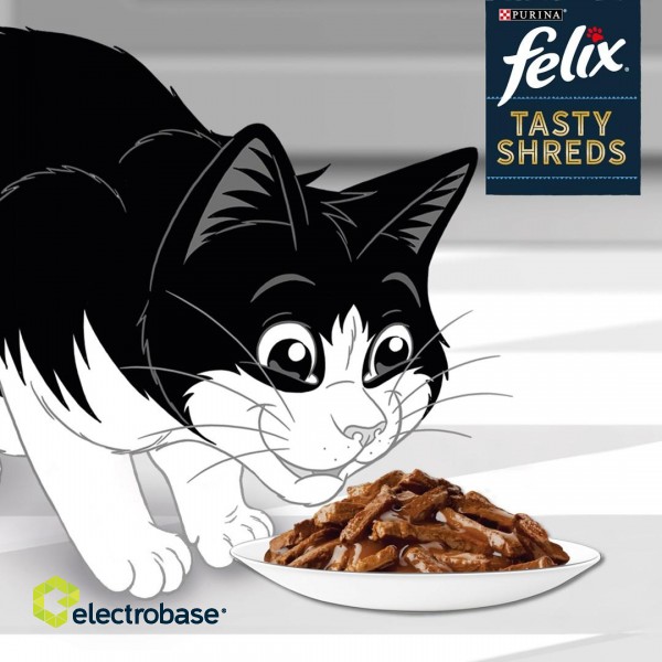 FELIX Tasty Shreds with beef and chicken - 4x 80g image 4