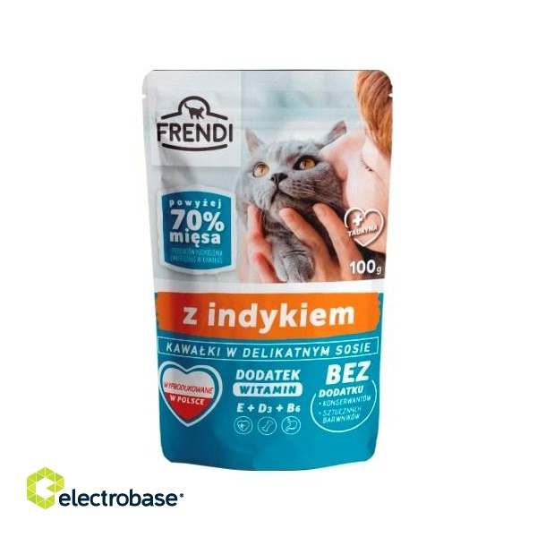FRENDI Pieces in turkey sauce - wet cat food - 100 g