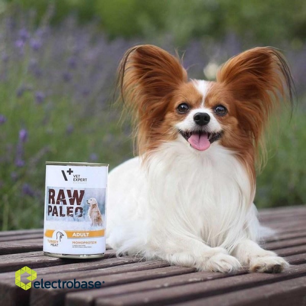 RAW PALEO Adult Monoprotein Turkey - wet dog food - 400 g image 2