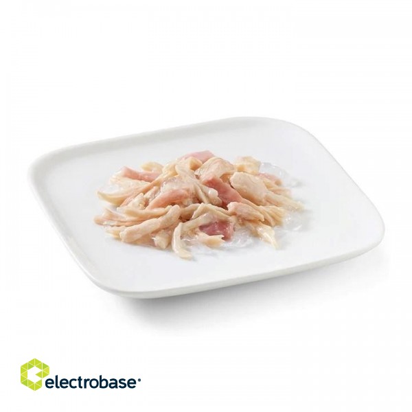 SCHESIR in jelly Chicken with ham - wet dog food - 150 g image 2