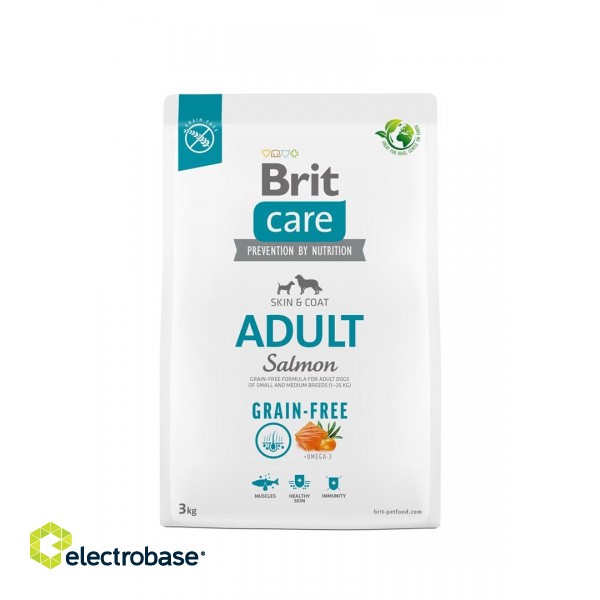 Dry food for adult dogs - BRIT Care Grain-free Adult Salmon - 3 kg paveikslėlis 1