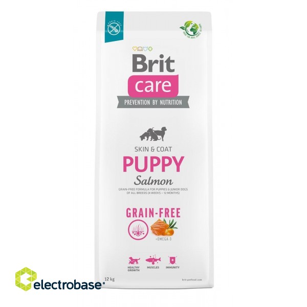 Dry food for puppies and young dogs of all breeds (4 weeks - 12 months).Brit Care Dog Grain-Free Puppy Salmon 12kg image 1