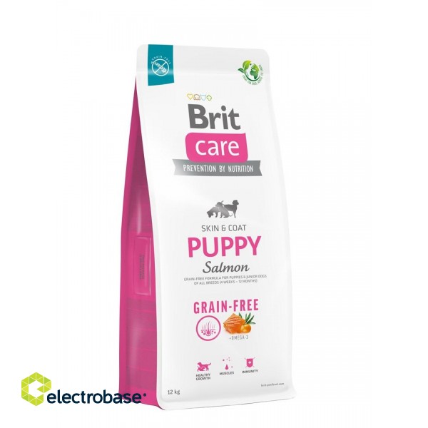 Dry food for puppies and young dogs of all breeds (4 weeks - 12 months).Brit Care Dog Grain-Free Puppy Salmon 12kg image 2