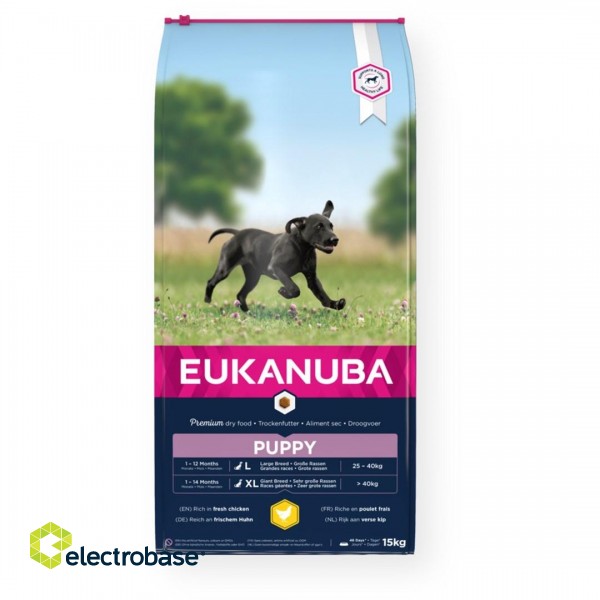 Eukanuba Growing Puppy Large Breed  15 kg