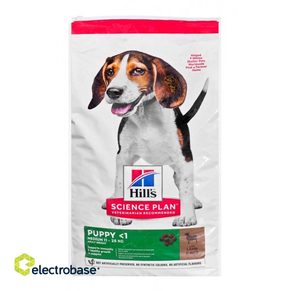 Hill's 52742025735 dogs dry food 14 kg Puppy Lamb, Rice image 3