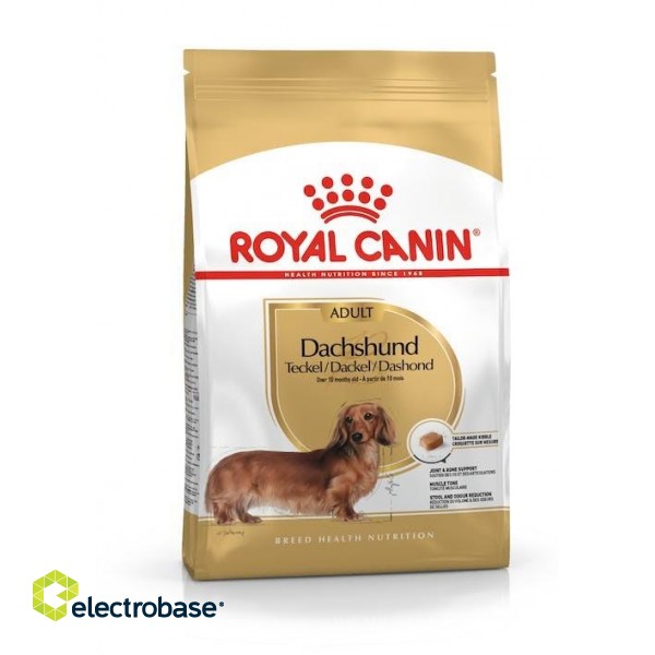 ROYAL CANIN Dachshund Adult - dry dog food - 7,5 kg