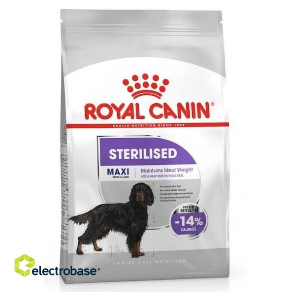 ROYAL CANIN CCN Maxi Sterilised Adult - dry dog food - 12 kg