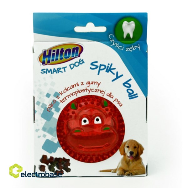 HILTON Dog spiky ball - Dog toy - 8 cm image 4