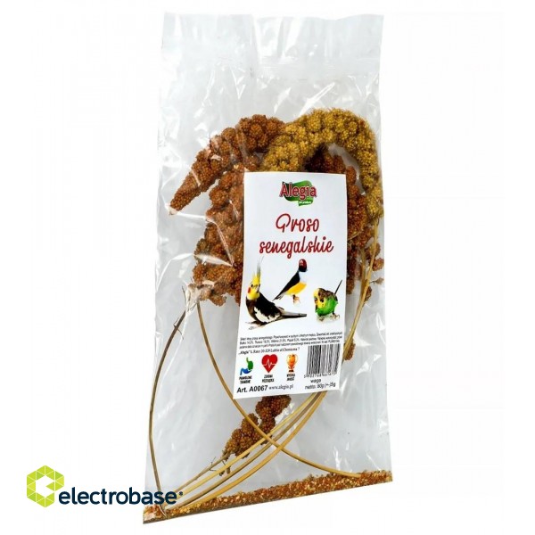 ALEGIA Senegalese Millet - treat for birds and rodents - 80g image 2