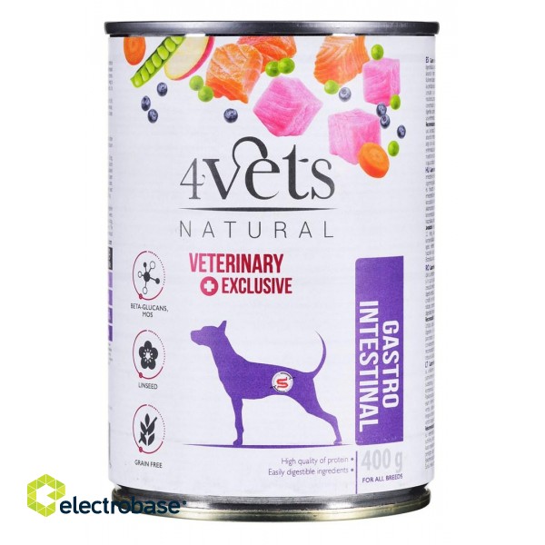 4VETS Natural Gastro Intestinal Dog - wet dog food - 400 g image 2