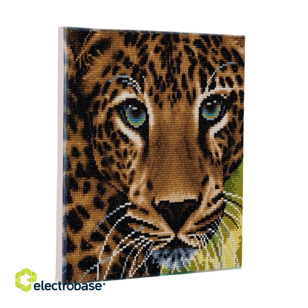 CRAFT Buddy Leopard фото 3