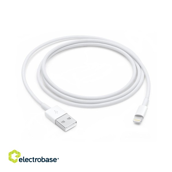 Apple Lightning to USB Cable (1В m) image 1