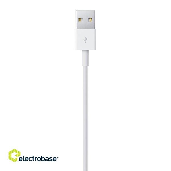 Apple Lightning to USB Cable (1В m) image 4