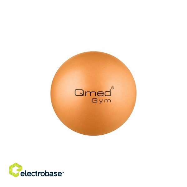 ABS rehabilitation ball 25cm