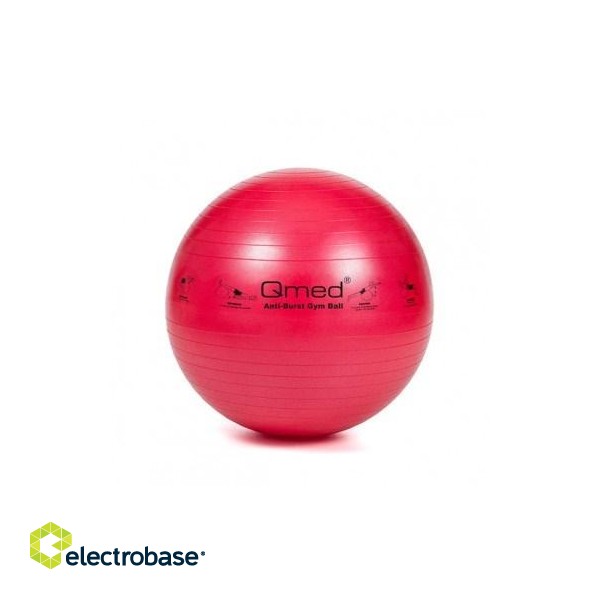 ABS rehabilitation ball with pump 55cm paveikslėlis 2