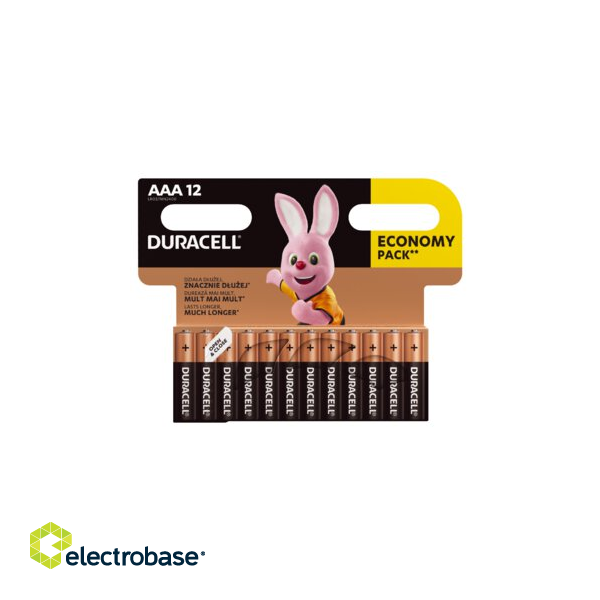 12x AAA Duracell electrobase.lv