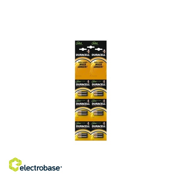 BATAAA.ALK.DB12; LR03/AAA batteries 1.5V Duracell BASIC series Alkaline MN2400 HBDC in a package of 