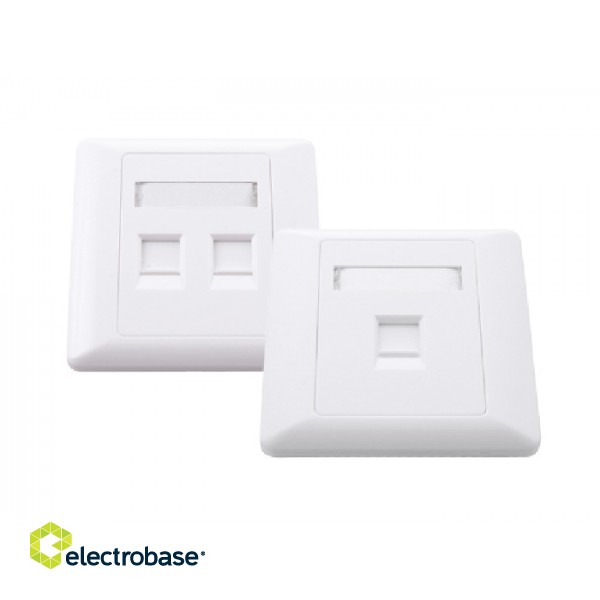 86 type 2 port face plate/ white colour