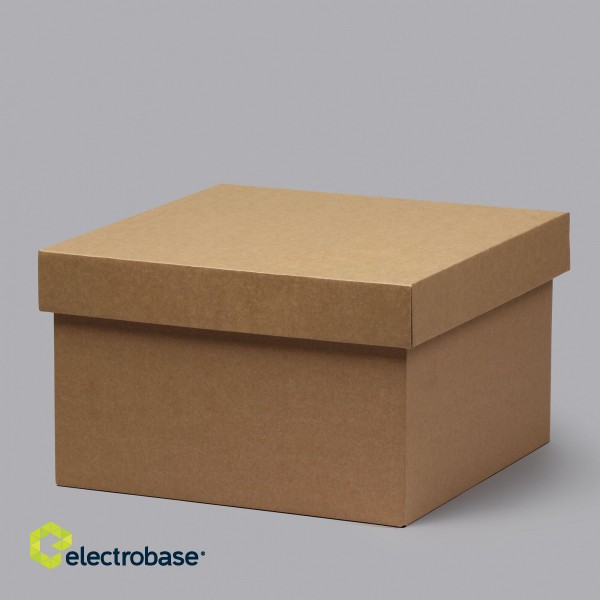 Mikro gofrētā kartona kastītes 250x250x150mm ar vāku, brūnas, 14E