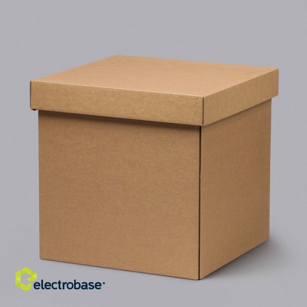 Mikro gofrētā kartona kastītes 250x250x250mm ar vāku, brūnas, 14E