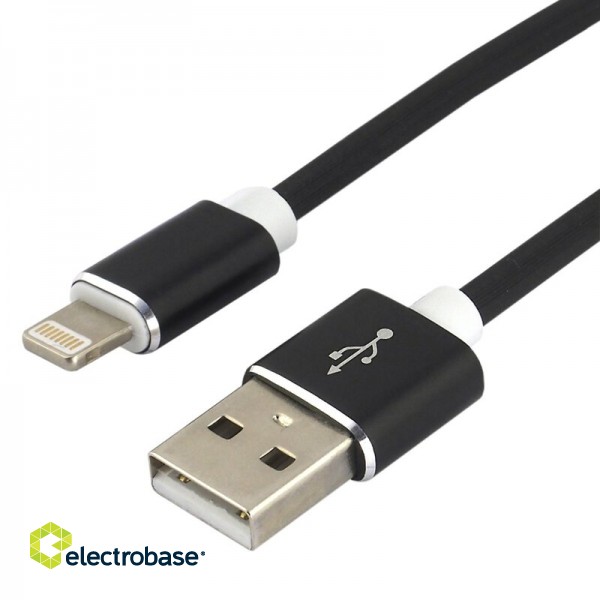 USB lightning male / USB A male 1.0m everActive CBS-1IB fast 2.4A melns 2