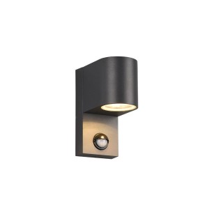 Trio-Lighting Roya GU10 anthracite round  lampa ar kustības sensoru