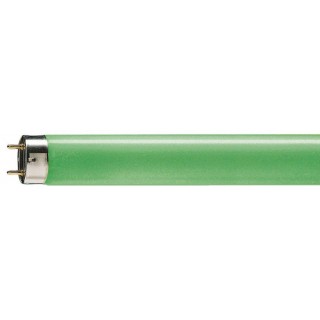 Philips TL-D Colored 36W Green 1SL/25 spuldze