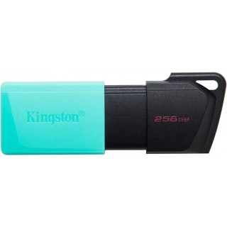 Kingston DataTraveller Exodia M 256GB Flash memory