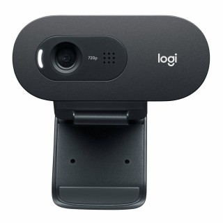 Logitech C505e Business Webcam Tīmekļa kamera