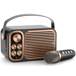 LTC YS-104 Portable Bluetooth Speaker / Karaoke with Microphone